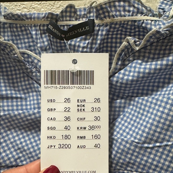 Brandy Melville Blue Checkered Ruffle Blouse - Picture 2 of 5